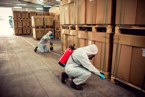 Best Ant Control Services  in Crowley, TX