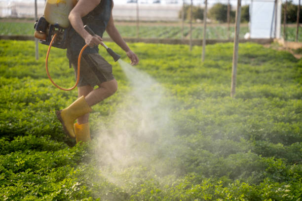 Best Best Pest Control Companies  in Crowley, TX