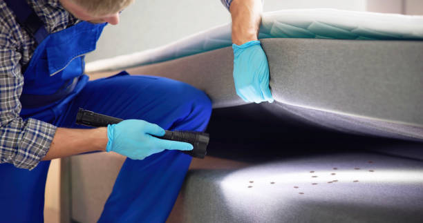 Pest Prevention Services in Crowley, TX